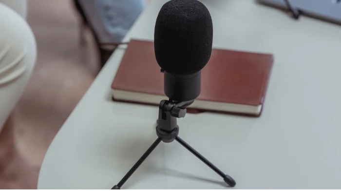 Podcast Project